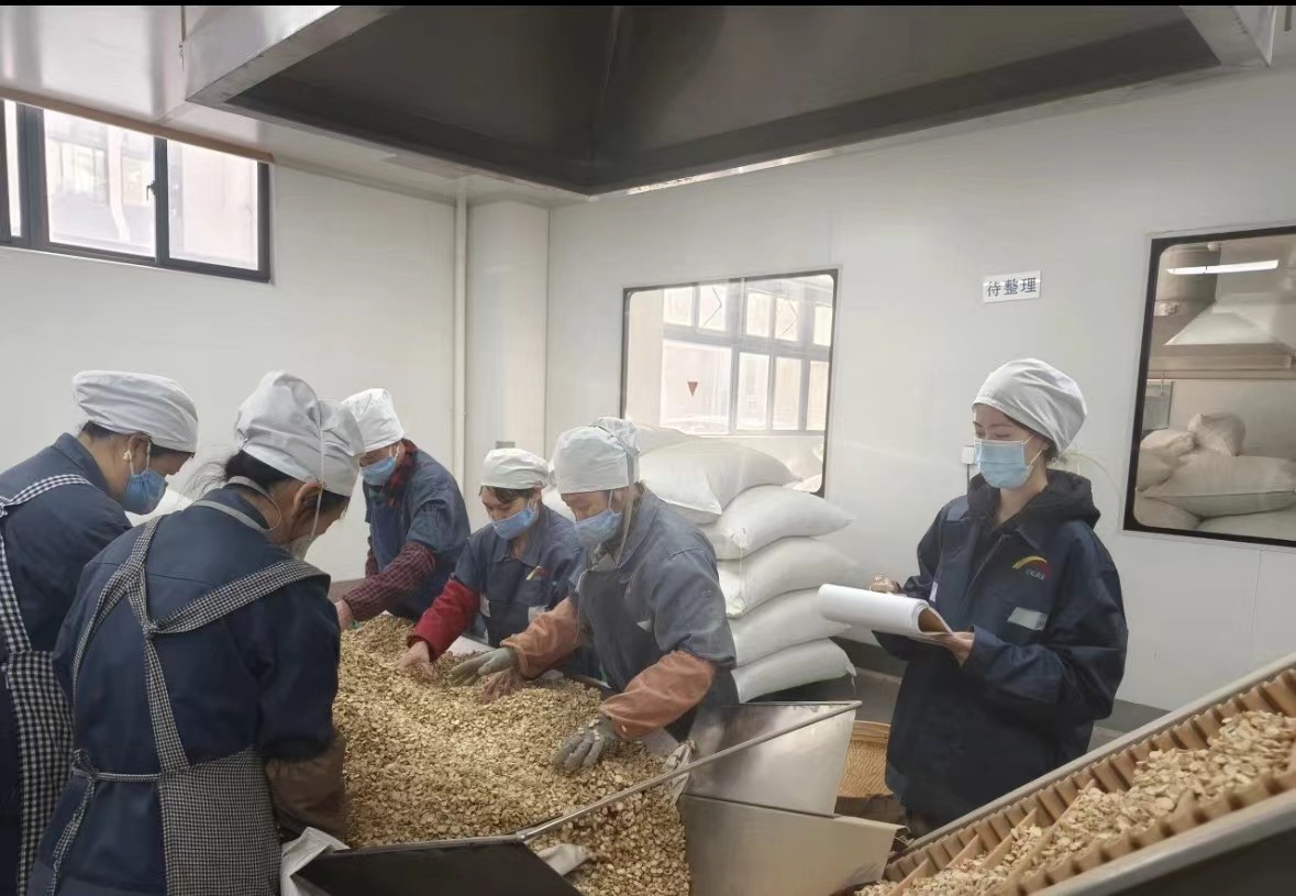Qingdao Biodhore बाडटेच कम्पनी, लिमिटेड आधिकारिक रूपमा निर्माण सुरु भएको छ