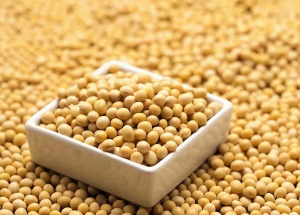 सोया Isoflavons को लाभ के लाभ छ?