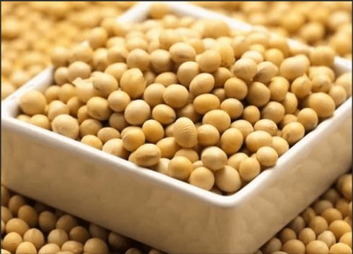 सोया Isoflavons को लाभ के लाभ छ?