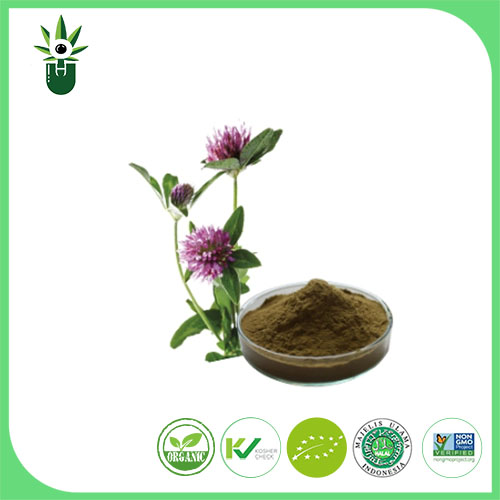 Medicago sativa एल एक्स्ट्र्याक्ट