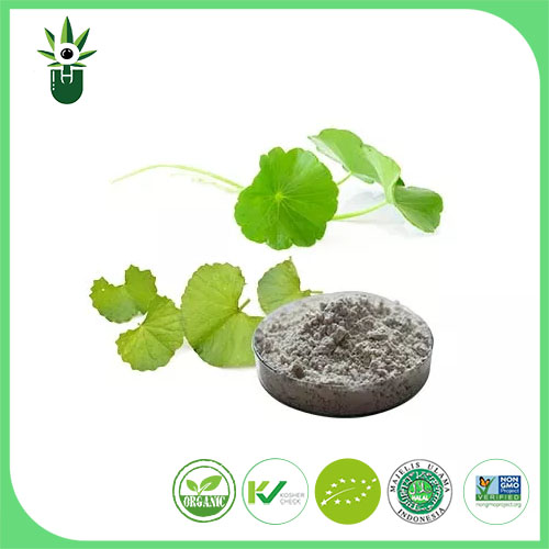 Centella Asiatica एक्स्ट्र्याक्ट