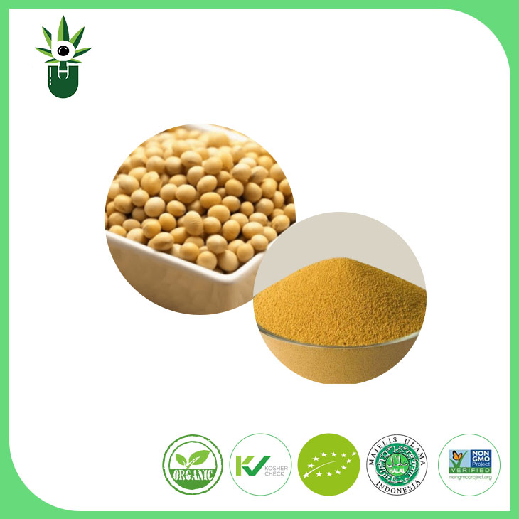 गैर gmo सोयाबीन एक्स्ट्र्याक्ट पाउडर 90 0% सोया isoflavens